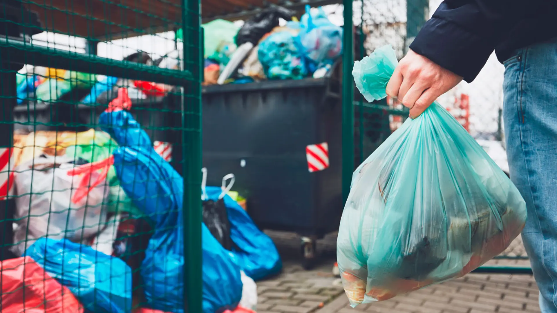 ¿Te has preguntado alguna vez a dónde va la basura que tiras cada día?