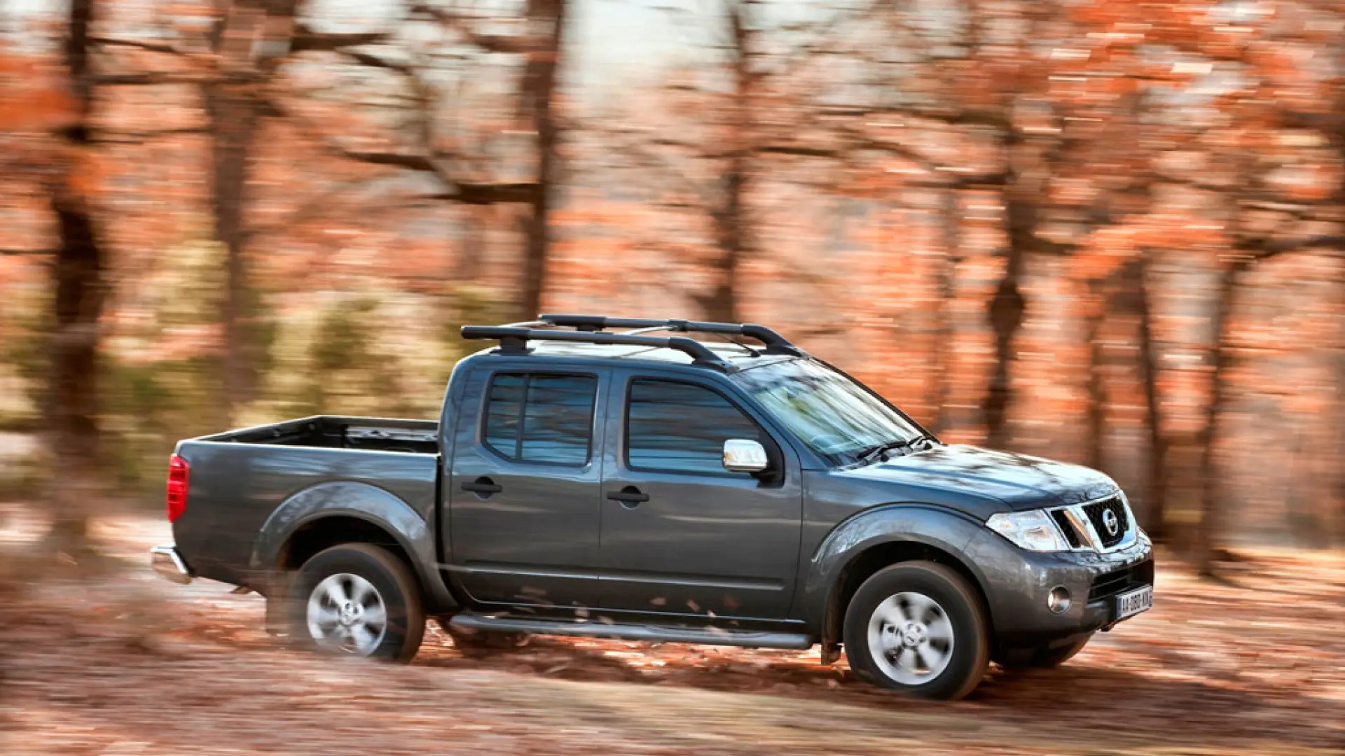 Navara Hamilton GalerÃa del Navara
