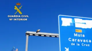 El rescate obligó a cortar la circulación por motivos de seguridad vial y del propio animal