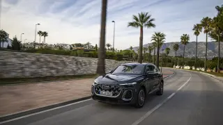 An Audi Q5 drives down a street lined with palm trees. The vehicle is painted in Tambora gray metallic.