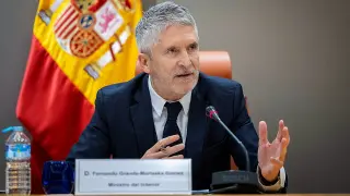 Ministro del Interior, Fernando Grande-Marlaska.