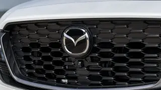 Oleada de robos de emblemas de coches.