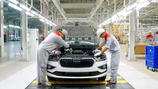 skoda planta