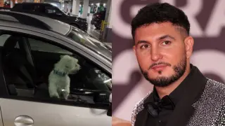 Omar Montes rescata a un perro tras romper una ventanilla