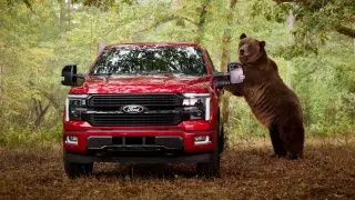 Ford utiliza a un oso de 360 kilos para probar algunos sistemas de seguridad