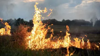 ¿Qué hacer si me encuentro un incendio en la carretera?