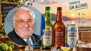 Pere Navarro, director de la DGT.