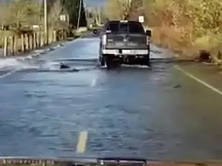 VÍDEO: cuidado con la borrasca Gloria, te pueden pasar cosas como estas