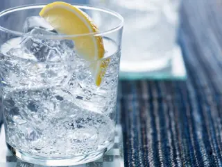 Las 10 mejores ginebras del mundo