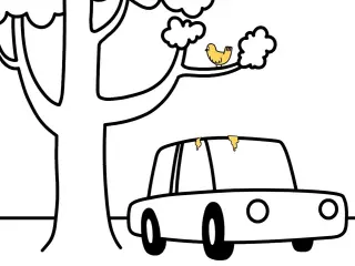 Ford Versus Bird Poop
