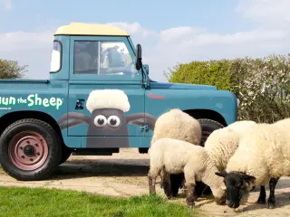 paises-normas-trafico-absurdas-estados-unidos