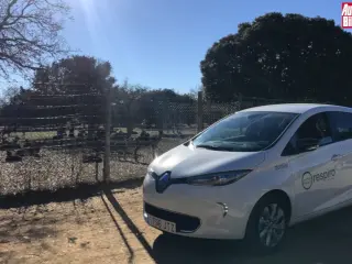 VÍDEO: Así lucha Palencia contra la contaminación: Carsharing