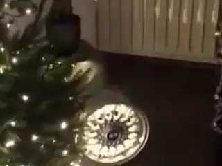 VÍDEO: No vas a ver unas luces de Navidad iguales a estas
