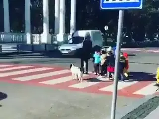 VÍDEO: hay que perseguir a este tipo de irresponsables al volante, ¡qué vergüenza!
