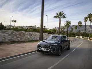 An Audi Q5 drives down a street lined with palm trees. The vehicle is painted in Tambora gray metallic.
