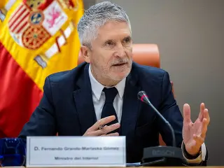 Ministro del Interior, Fernando Grande-Marlaska.