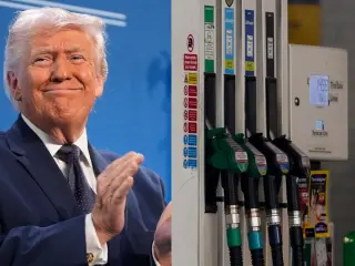 Los planes de Donald Trump sobre la gasolina