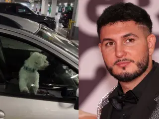 Omar Montes rescata a un perro tras romper una ventanilla