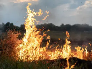 ¿Qué hacer si me encuentro un incendio en la carretera?
