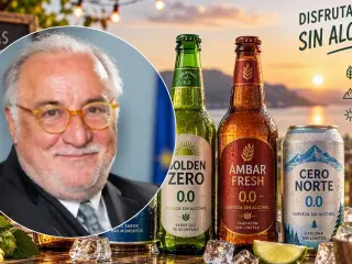 Pere Navarro, director de la DGT.