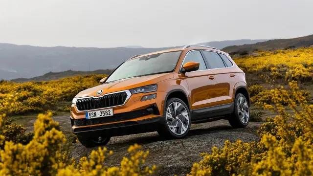 Skoda Karoq.