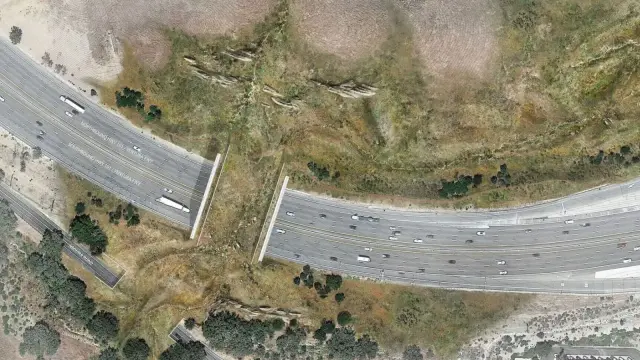 Así quedaría el puente Silvestre Wallis Annenberg tras las obras