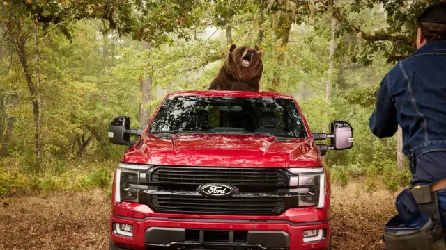 Ford utiliza a un oso de 360 kilos para probar algunos sistemas de seguridad