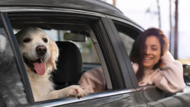 Consejos para viajar con mascotas
