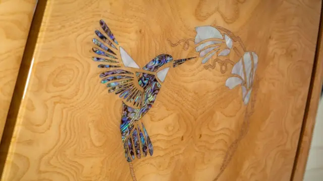 Colibrí de concha de ábulon