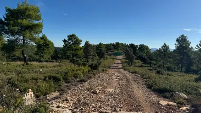 camino rural hormigonado