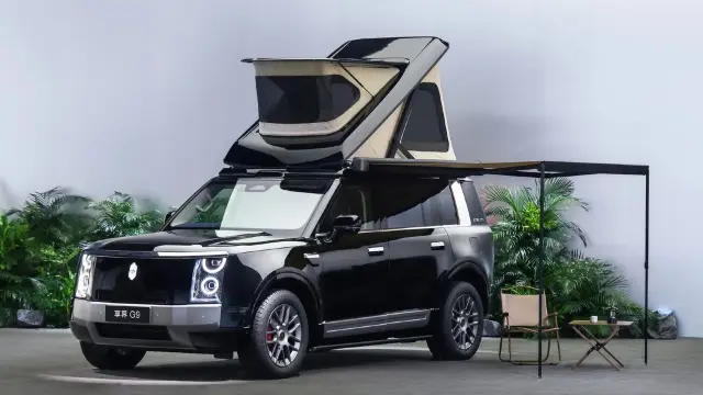 Stelato G9