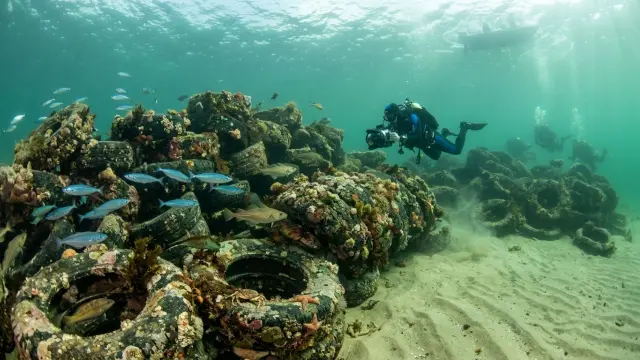 Arrecife de neumáticos
