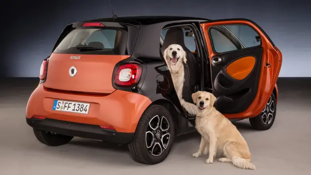 Smart ForFour para perros 1