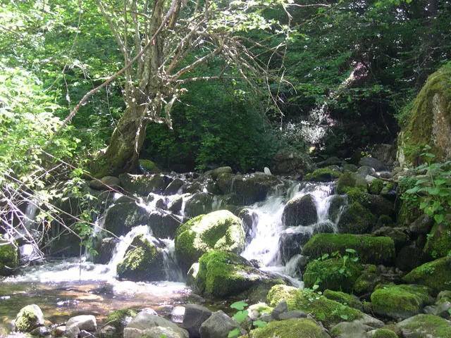 Parque Natural de Somiedo, en Asturias