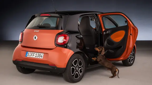 Smart ForFour para perros