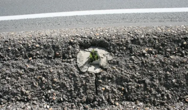 Aquí se rompió la baliza de señalización y ha dado tiempo para que crezca una planta en el hueco