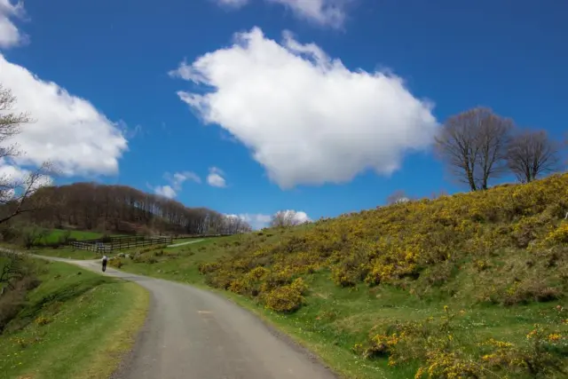 Route Napoleon, Francia.