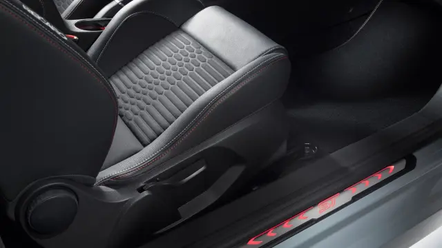 Ford Fiesta ST200 2016 moldura