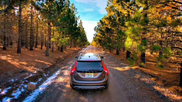 volvo V60 Cross Country 2016 dinámica campo