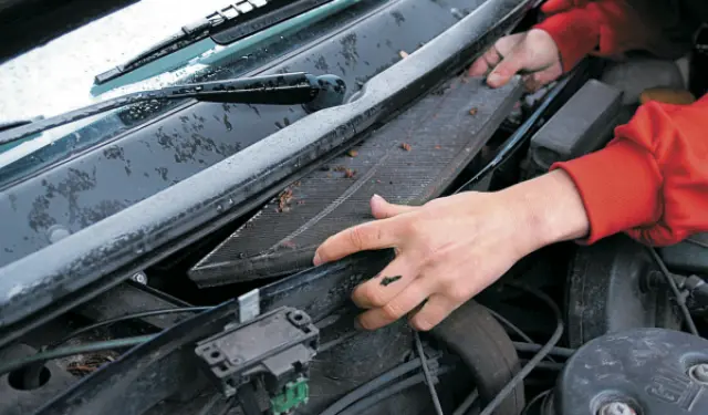 filtros interiores humedad coches inundados