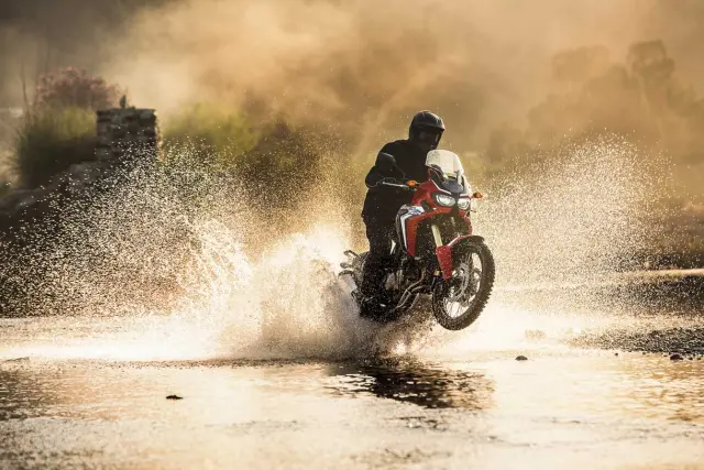 africa -twin