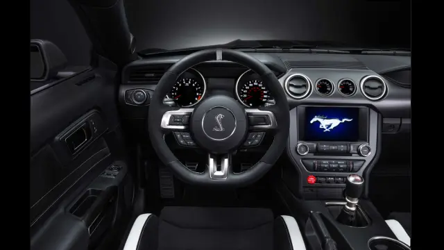 Ford Mustang Shelby GT350R 2016 - 14