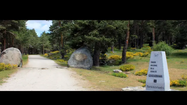 Parque Nacional de la Sierra de Guadarrama, en Madrid.