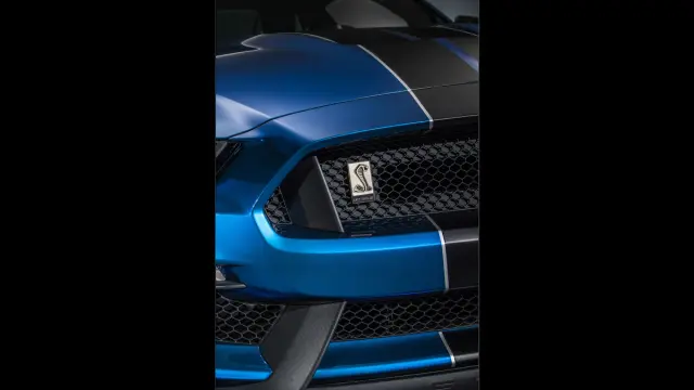 Ford Mustang Shelby GT350R 2016 - 10