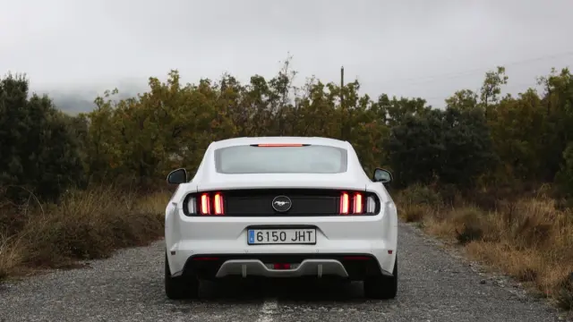 Ford Mustang trasera