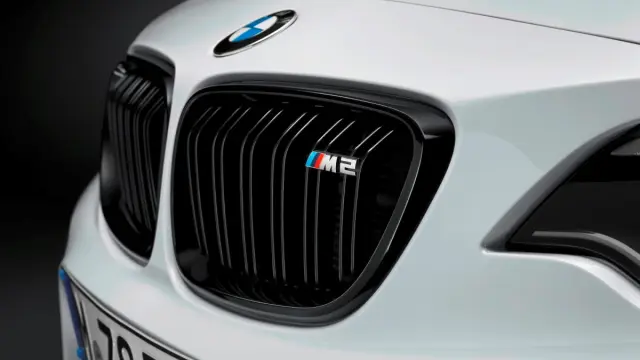 BMW M2 M Performance parrilla