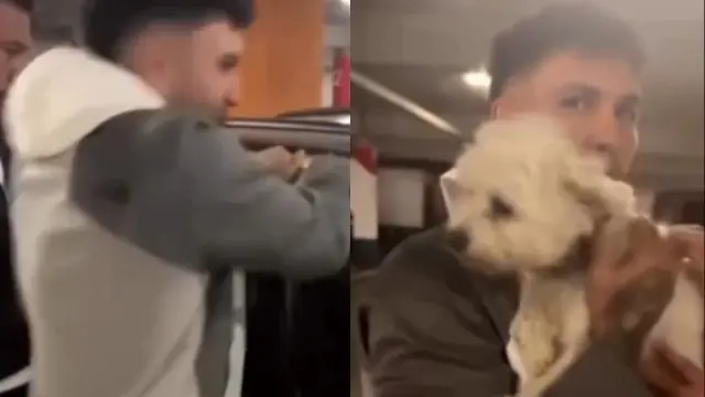 El cantante rompió la ventanilla para sacar al animal que estaba llorando