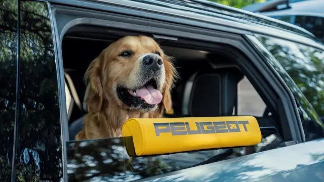 Peugeot E-5008 Dog Edition Concept