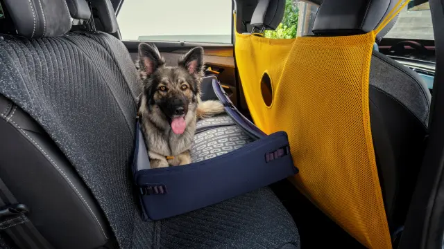 Peugeot E-5008 Dog Edition Concept